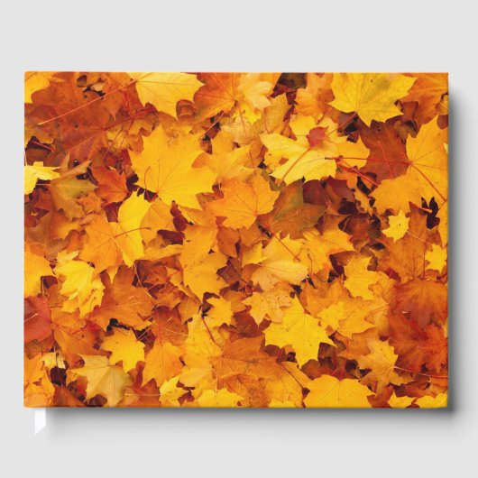 紅葉 ゲストブック (正面)