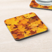 紅葉 コースター (左側)