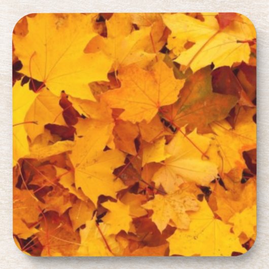 紅葉 コースター (正面)