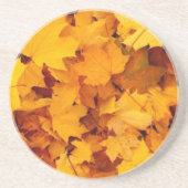 紅葉 コースター (正面)