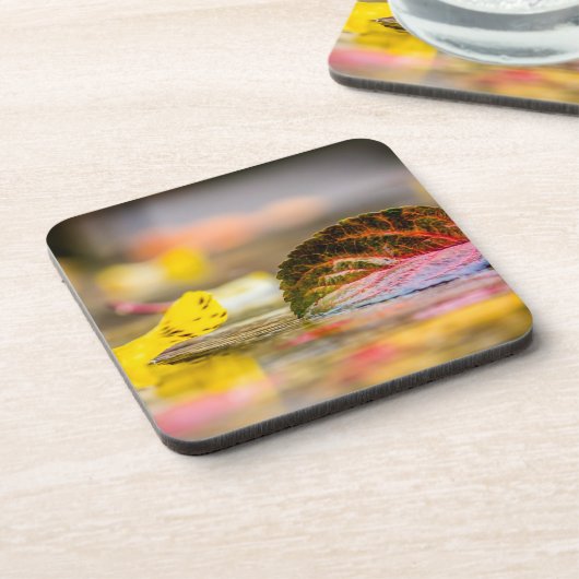 紅葉 コースター (左側)