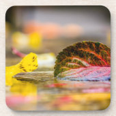 紅葉 コースター (正面)