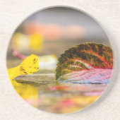 紅葉 コースター (正面)