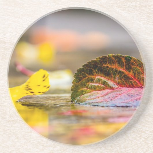 紅葉 コースター (正面)