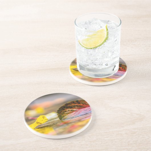 紅葉 コースター (側面)