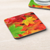 紅葉 コースター (左側)