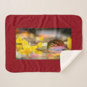 紅葉 シェルパブランケット (正面(横))