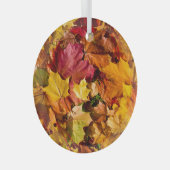 紅葉：シカラフルームレスアレイ。 ガラスオーナメント (正面右)