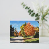 紅葉（シンシナチ） ポストカード (スタンド正面)