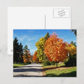 紅葉（シンシナチ） ポストカード (正面/裏面)