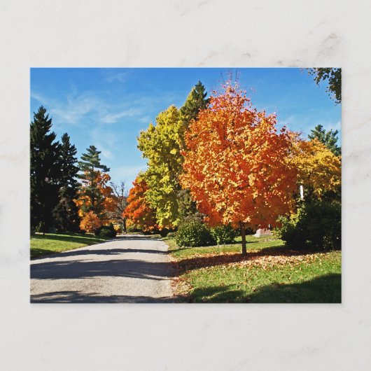 紅葉（シンシナチ） ポストカード (正面)