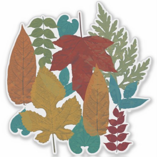 紅葉 シール (正面)