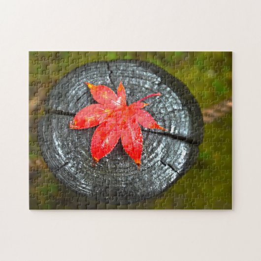 紅葉 ジグソーパズル (横)