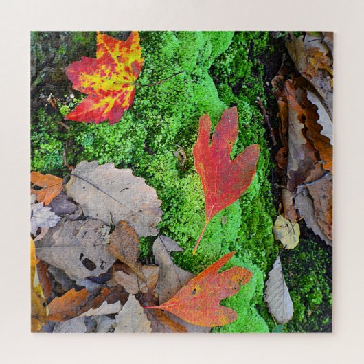 紅葉 ジグソーパズル (横)