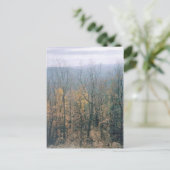 紅葉 – ジョージア ポストカード (スタンド正面)