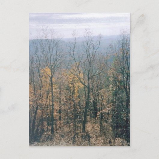 紅葉 – ジョージア ポストカード (正面)