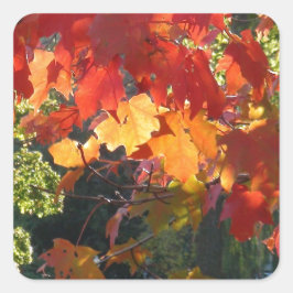 紅葉 スクエアシール