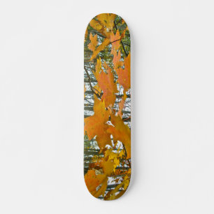 紅葉 スケートボード