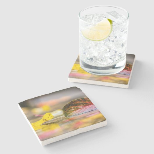 紅葉 ストーンコースター (横)