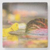 紅葉 ストーンコースター (正面)