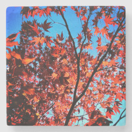 紅葉 ストーンコースター