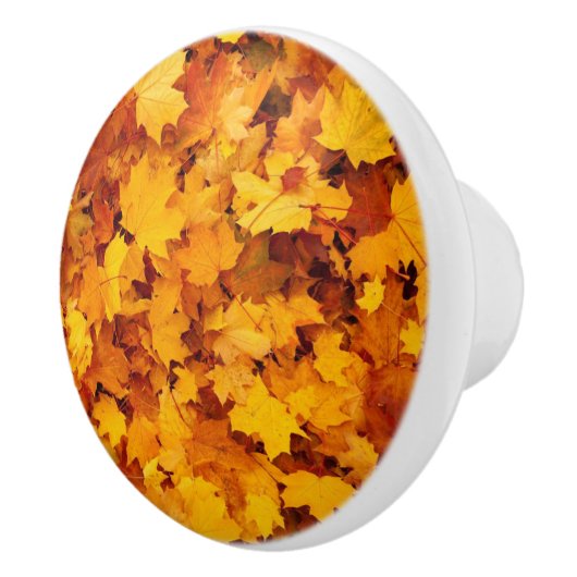 紅葉 セラミックノブ (右)