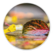 紅葉 セラミックノブ (正面)