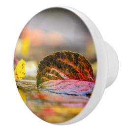 紅葉 セラミックノブ