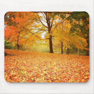 紅葉、セントラル・パーク、ニューヨークシティ マウスパッド