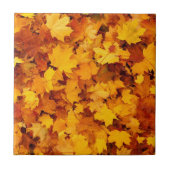紅葉 タイル (正面)