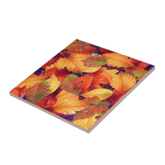 紅葉 タイル (側面)