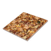 紅葉 タイル (側面)