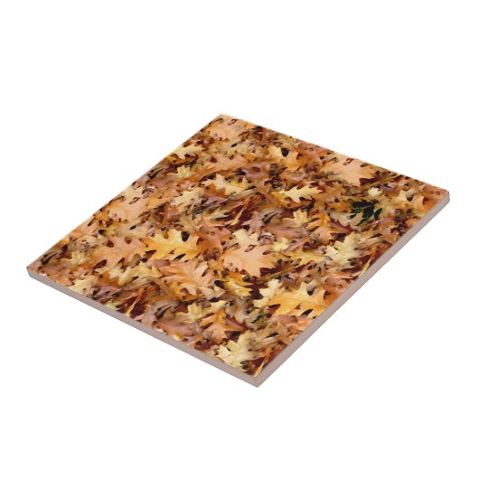 紅葉 タイル (側面)