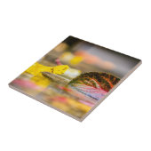 紅葉 タイル (側面)