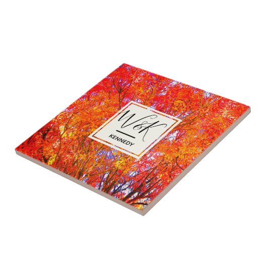 紅葉 タイル (側面)