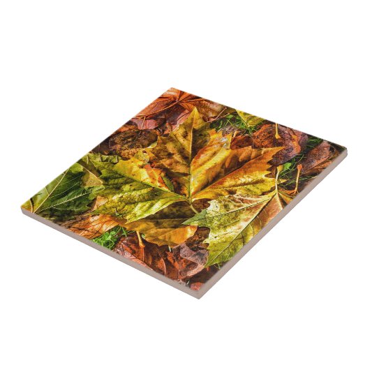 紅葉 タイル (側面)