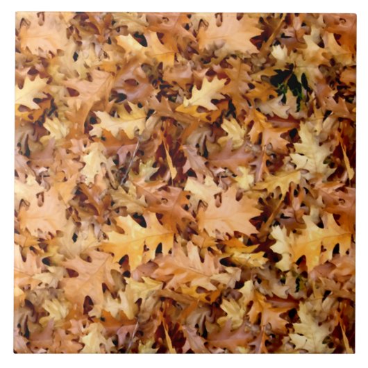 紅葉 タイル (正面)