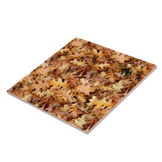 紅葉 タイル (側面)
