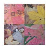 紅葉 タイル (正面)