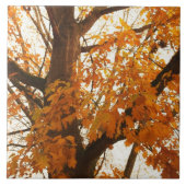 紅葉 タイル (正面)