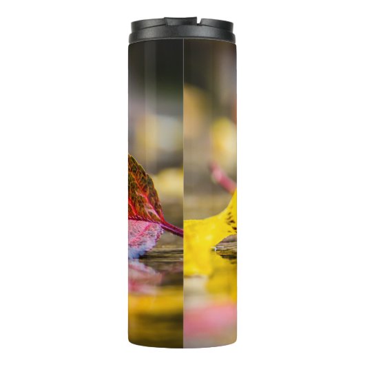 紅葉 タンブラー (裏面)