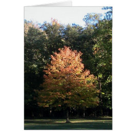 紅葉(テンプレート)カード