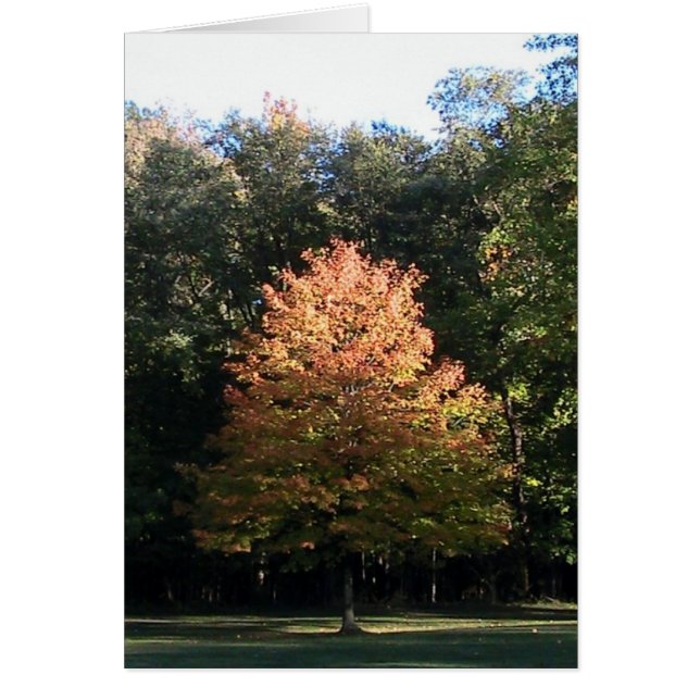 紅葉(テンプレート)カード (正面)