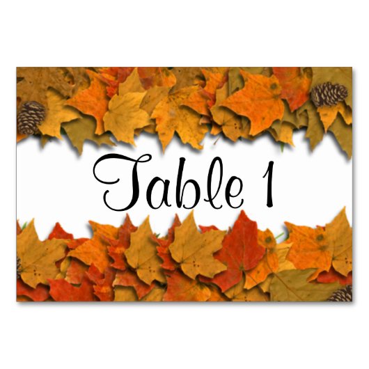 紅葉 テーブルナンバー (正面)