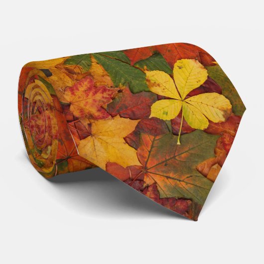 紅葉 ネクタイ (ロール)