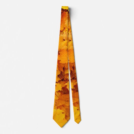 紅葉 ネクタイ (正面)