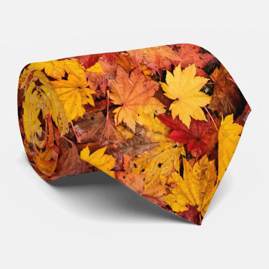 紅葉 ネクタイ (ロール)