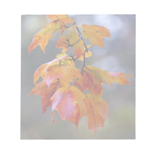 紅葉 ノートパッド (正面)