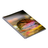 紅葉 ノートブック (右側)