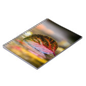 紅葉 ノートブック (左側)